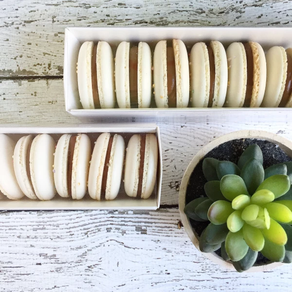 Macarons with dulce de leche filling and one of my succulents... Because succulents make everything look better!